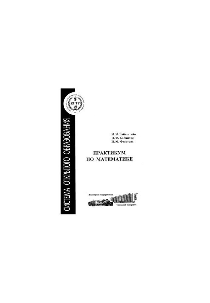 Weinstein I. I. Workshop on Mathematics