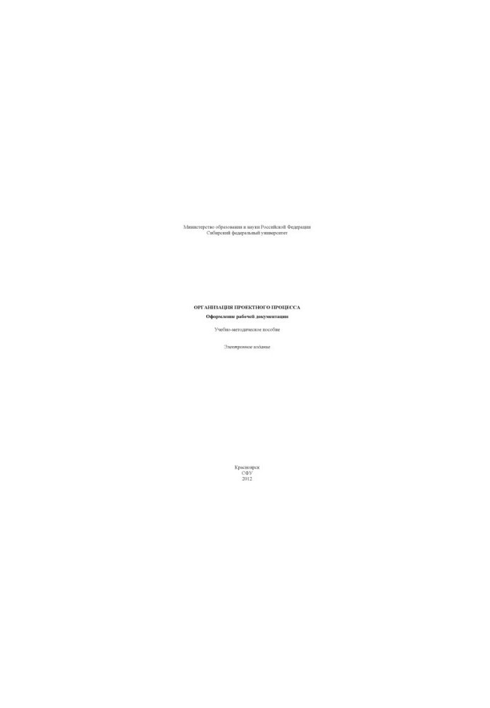 Organization of the project process. Preparation of working documentation