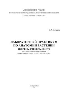 Лабораторный практикум по анатомии растений (корень, стебель, лист)