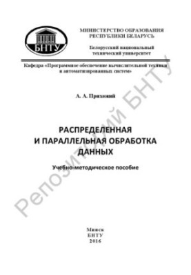Distributed and parallel data processing