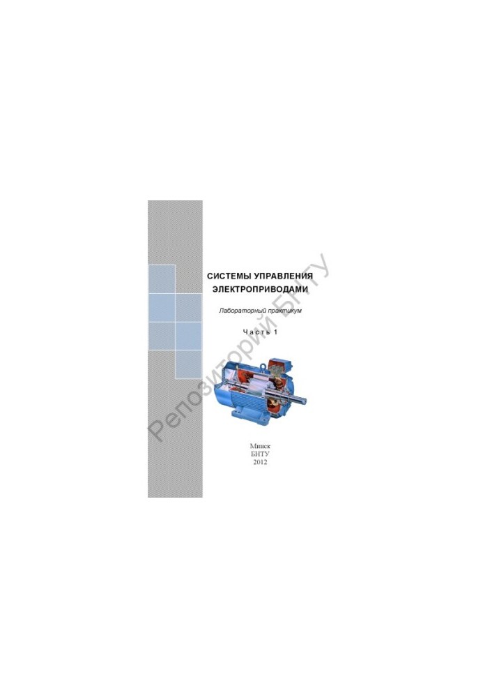 Electric drive control systems