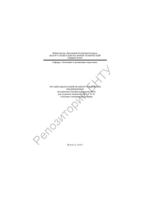 Organization of enterprise planning and management