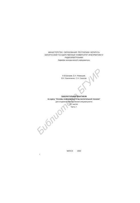 Laboratory workshop on the course "Basics of Computer Science and Computer Engineering" for students of the economic specialty. In 2