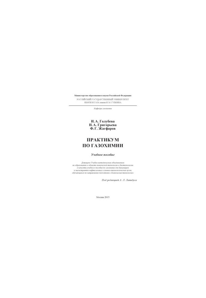 Golubeva I. A. et al. Workshop on Gas Chemistry