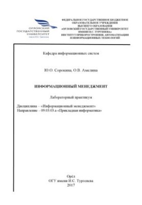 Сорокина, Ю. О. Информационный менеджмент