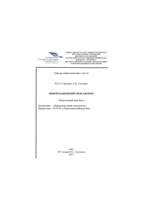 Сорокина, Ю. О. Информационный менеджмент