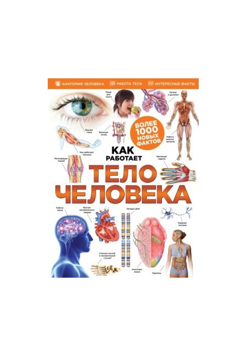 Тело человека (Серия Как работает)