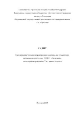 Audit (software 38.04.01)
