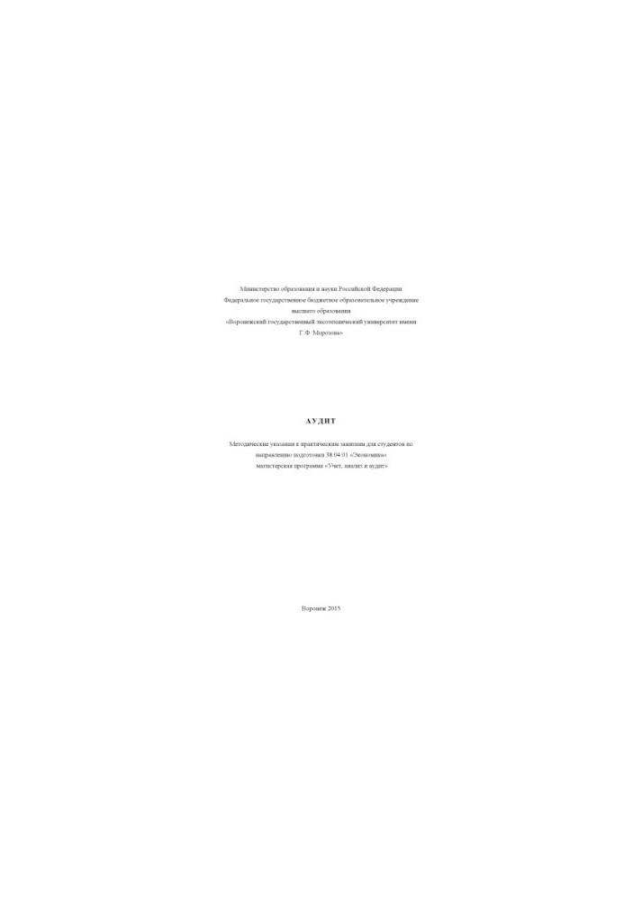 Audit (software 38.04.01)