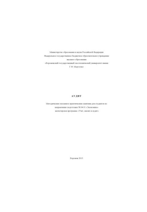Audit (software 38.04.01)