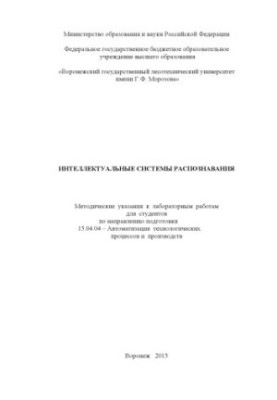 Intelligent recognition systems