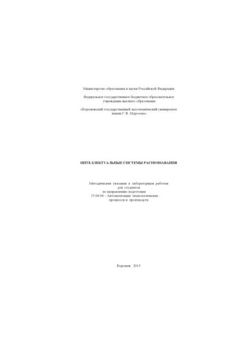 Intelligent recognition systems
