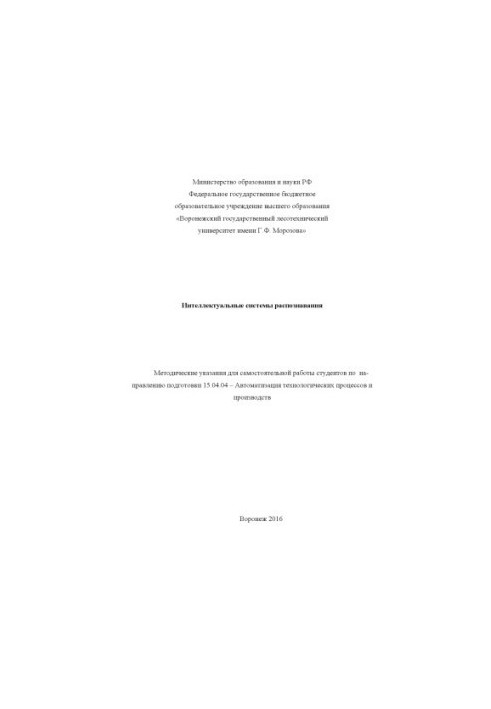 Intelligent recognition systems