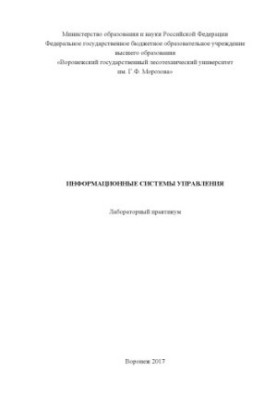 Management information systems