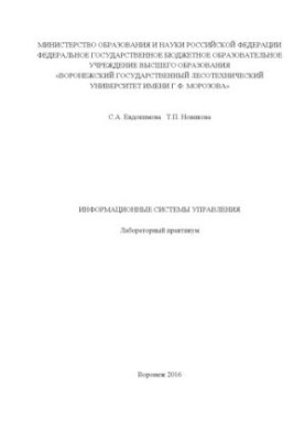 Management information systems