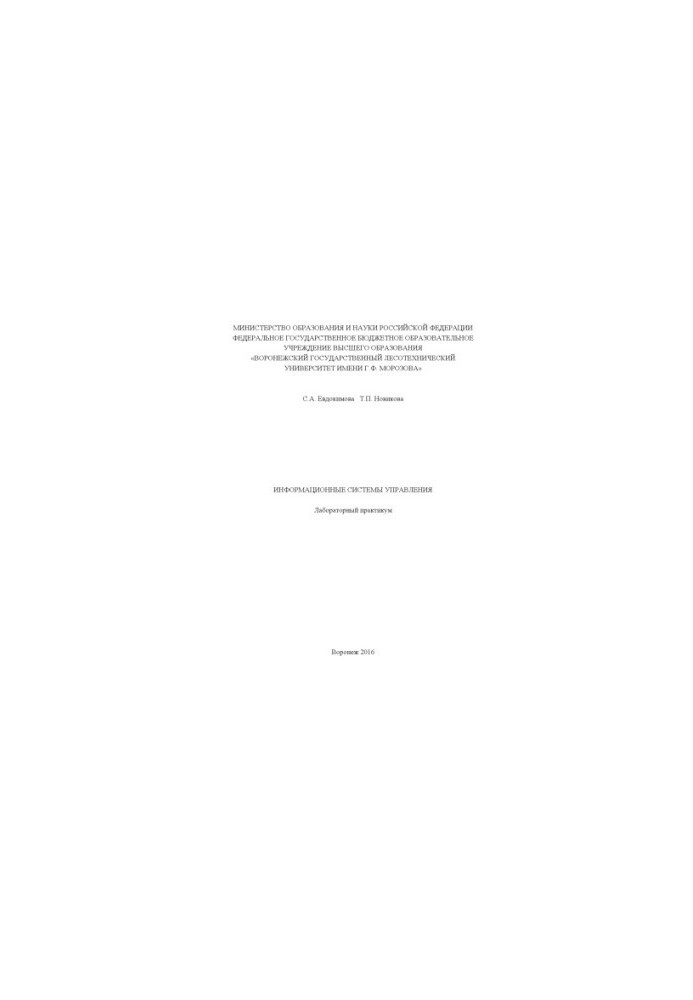 Management information systems
