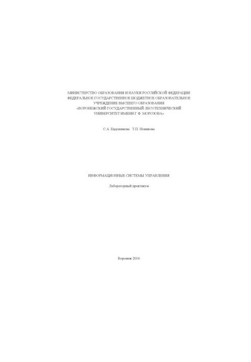 Management information systems