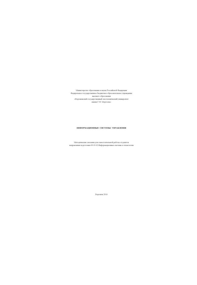 Management information systems