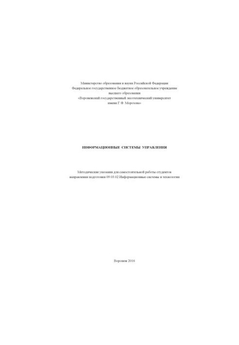 Management information systems