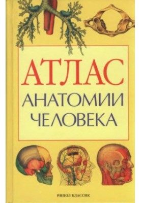 Атлас анатомии человека