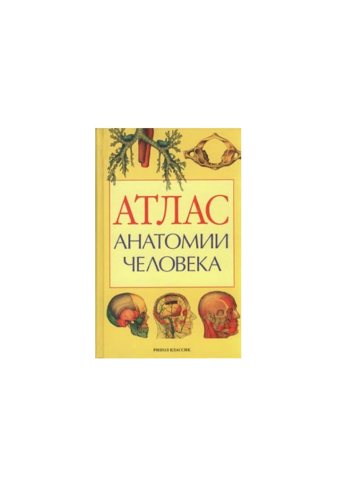 Атлас анатомии человека