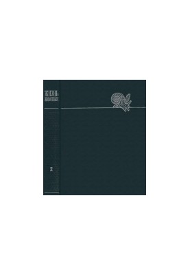 Animal life. In 6 volumes. Invertebrates