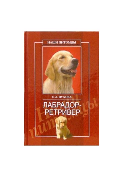 Лабрадор-ретривер