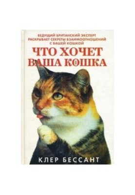 Що хоче ваша кішка: навчіться розуміти свою кішку