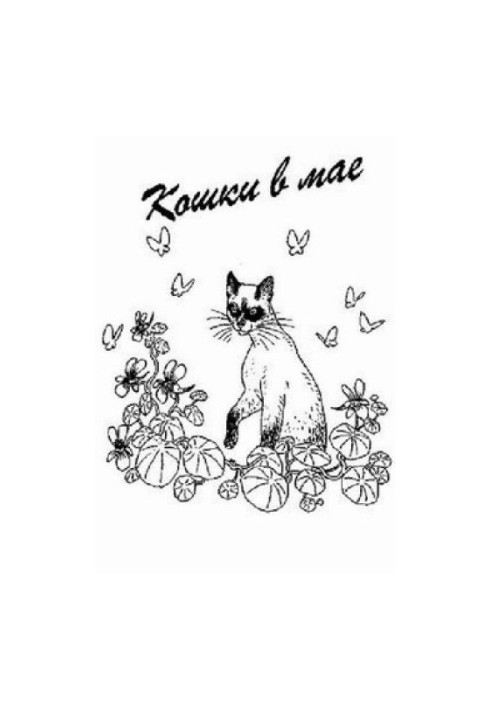 Кошки в мае