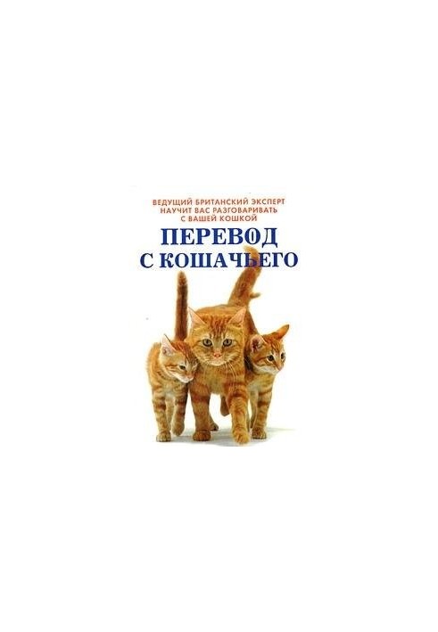 Translation from a cat: learn to talk to your cat
