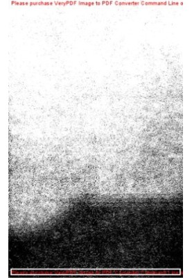 Movement of natural liquids and gases in a porous environment