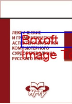 Лексические и грамматические аспекты разработки компьютерного сурдопереводчика русского языка: монография