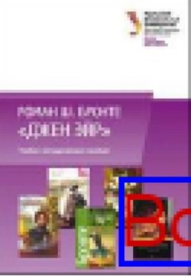 Роман Ш. Бронте «Джен Эйр» на занятиях по литературному чтению: учебно-методическое пособие
