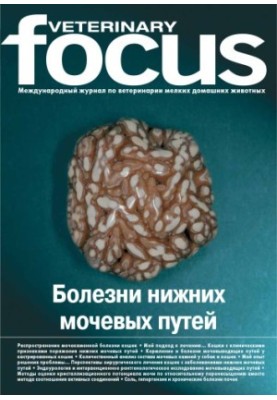 International Journal of Veterinary Pets Veterinary Focus 2007 No01. Diseases of the lower urinary tract