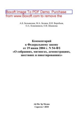 Comment to the Federal Law of June 19, 2004 No. 54-FZ “On assemblies, rallies, demonstrations, processions and picketing”