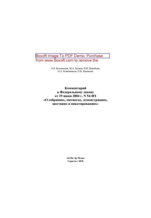 Comment to the Federal Law of June 19, 2004 No. 54-FZ “On assemblies, rallies, demonstrations, processions and picketing”