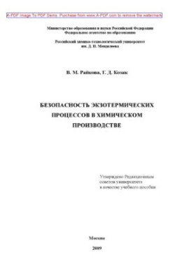 Raikova V. M. Safety of exothermic processes in chemical production Manual V. M. Raikov