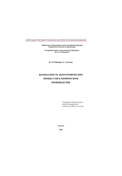 Raikova V. M. Safety of exothermic processes in chemical production Manual V. M. Raikov
