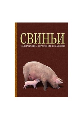 Свині: утримання, годівля та хвороби