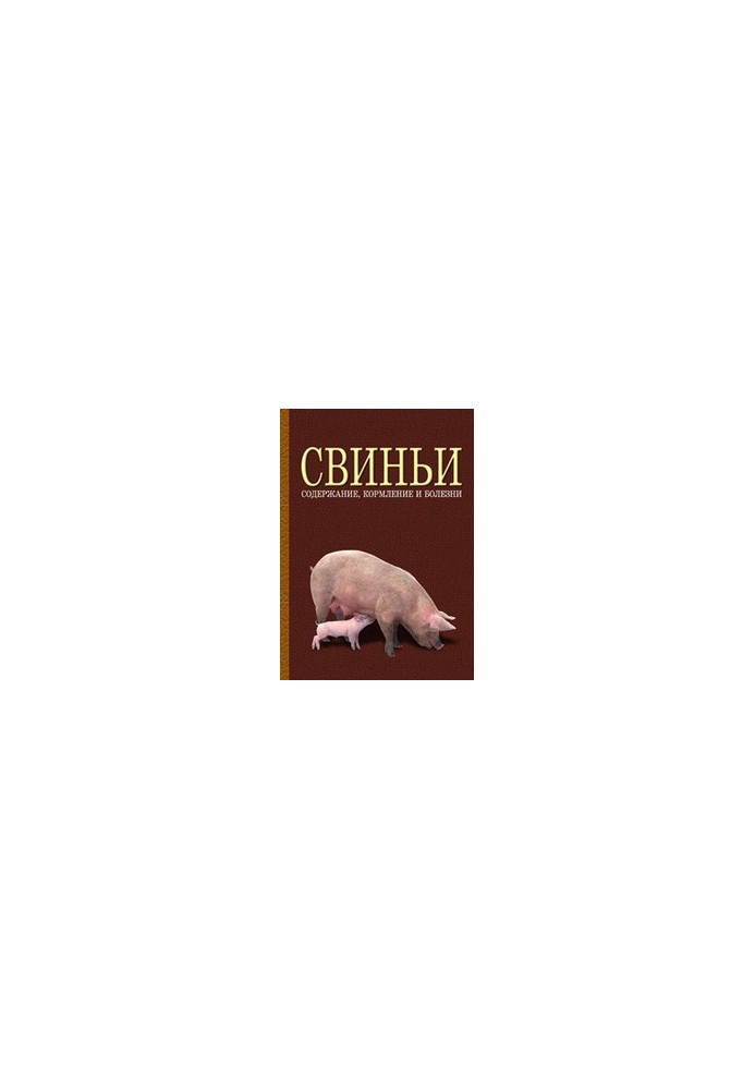 Свині: утримання, годівля та хвороби