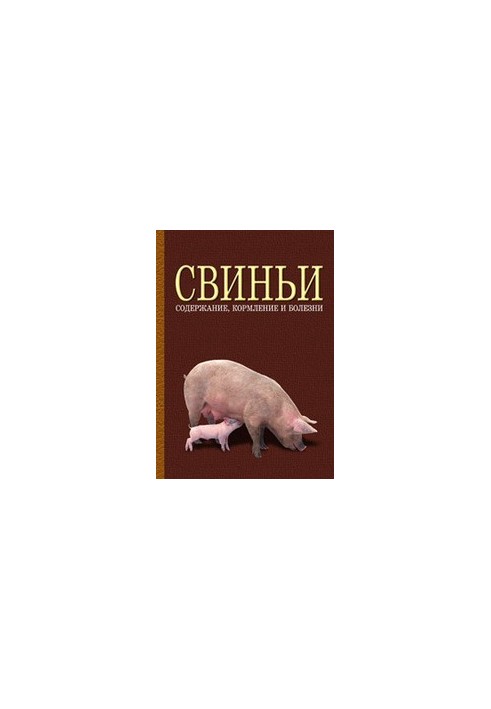 Свині: утримання, годівля та хвороби