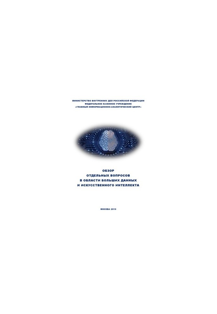 Overview of individual issues in the field of big data and artificial intelligence.