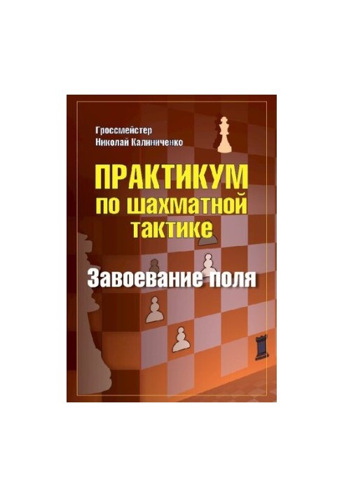 Workshop on chess tactics. Conquest of the field