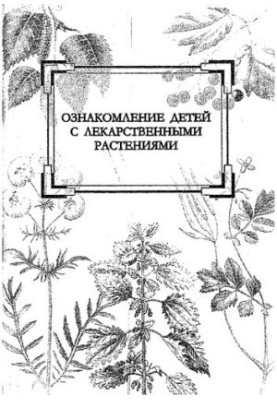 Familiarization of children with medicinal plants
