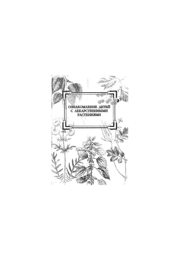 Familiarization of children with medicinal plants