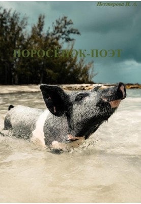 Piglet poet