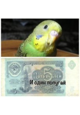 Five rubles and one parrot (SI)