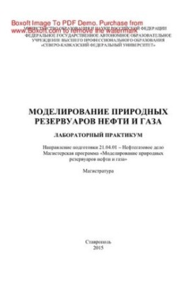 Моделювання природних резервуарів нафти і газу. Лабораторний практикум