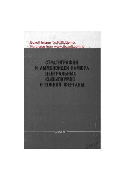 Stratigraphy and Ammonoid Namur of Central Kyzylkum and Southern Fergana