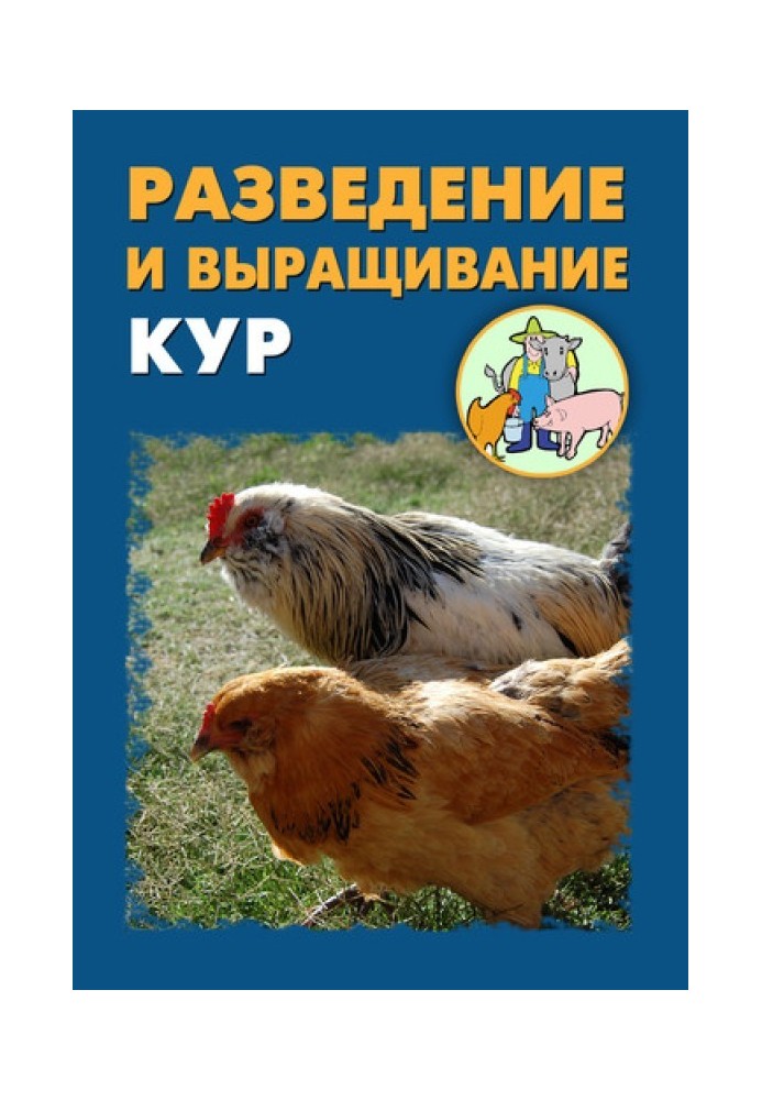 Розведення та вирощування курей